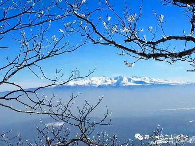 新君越怠速和低速时,车子会发出嗡嗡的声响,这是正常的吗?-有问必答平台